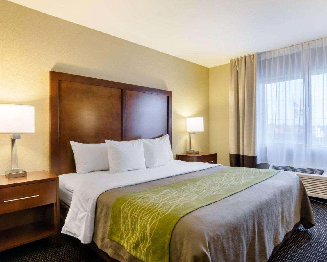 גארדן סיטי Comfort Inn מראה חיצוני תמונה